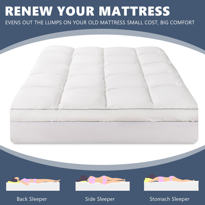 Alwyn Home Slaton 4'' Down Alternative & Reviews Wayfair